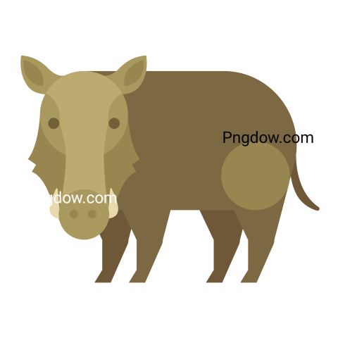 Boar Png image with transparent background for free, Boar, (11)