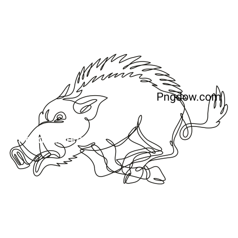 Boar Png image with transparent background for free, Boar, (9)