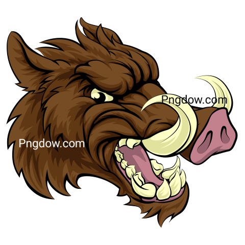 Boar Png image with transparent background for free, Boar, (6)