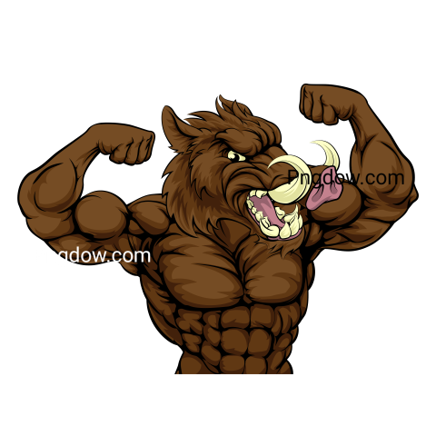 Boar Png image with transparent background for free, Boar, (5)