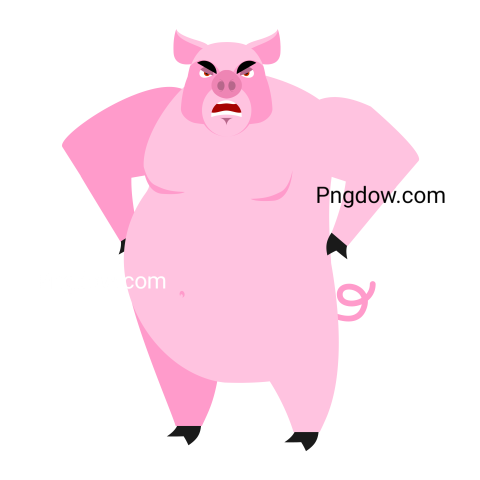 Boar Png image with transparent background for free, Boar, (17)
