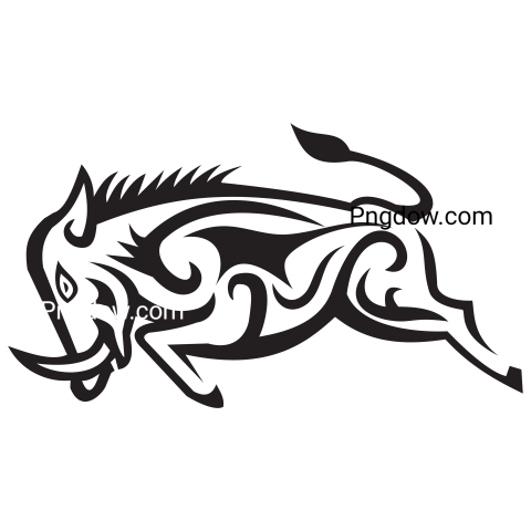 Boar Png image with transparent background for free, Boar, (24)