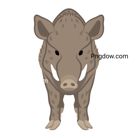 Boar Png image with transparent background for free, Boar, (28)