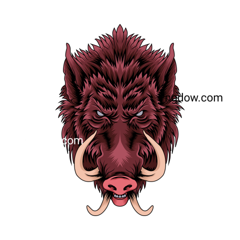 Boar Png image with transparent background for free, Boar, (23)