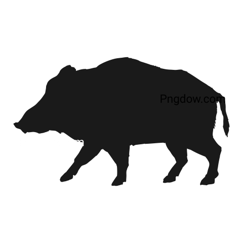 Boar Png image with transparent background for free, Boar, (42)