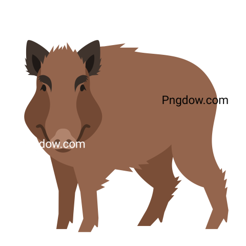 Boar Png image with transparent background for free, Boar, (46)