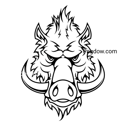 Boar Png image with transparent background for free, Boar, (53)