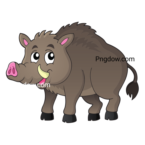 Boar Png image with transparent background for free, Boar, (54)