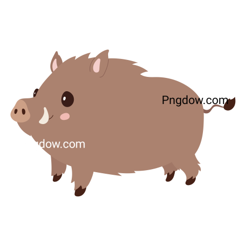 Boar Png image with transparent background for free, Boar, (55)