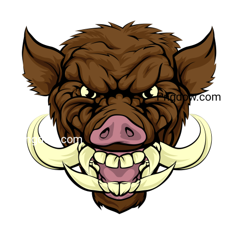Boar Png image with transparent background for free, Boar, (57)