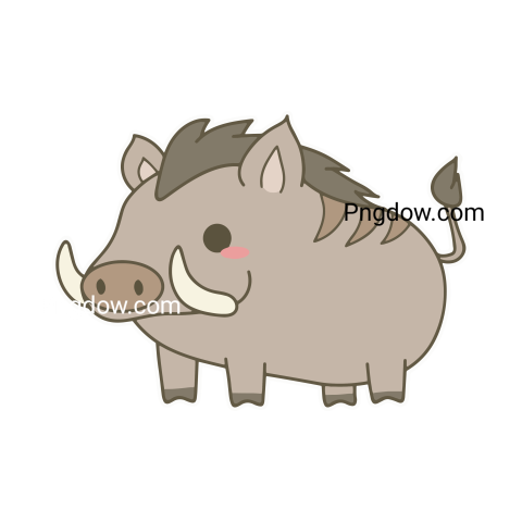 Boar Png image with transparent background for free, Boar, (58)