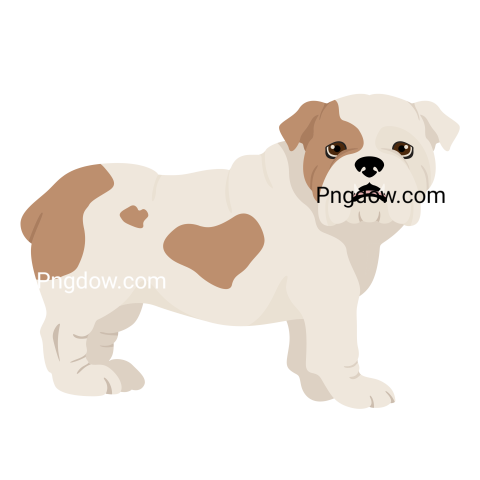 Bulldog Png image with transparent background for free, Bulldog, (96)