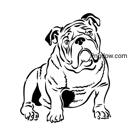 Bulldog Png image with transparent background for free, Bulldog, (113)