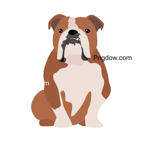Bulldog Png image with transparent background for free, Bulldog, (115)