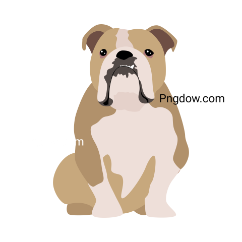 Bulldog Png image with transparent background for free, Bulldog, (108)