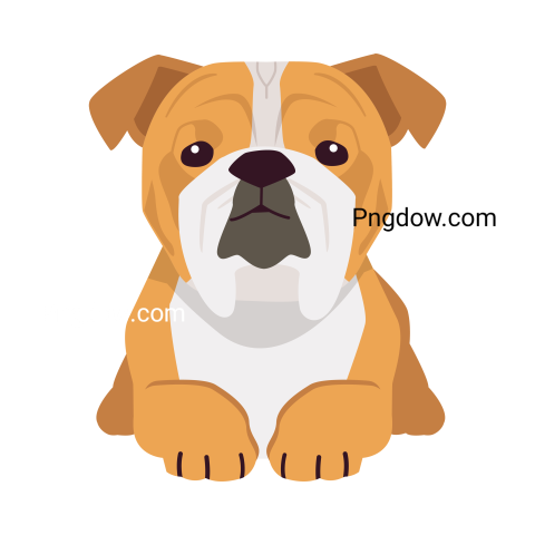 Bulldog Png image with transparent background for free, Bulldog, (99)