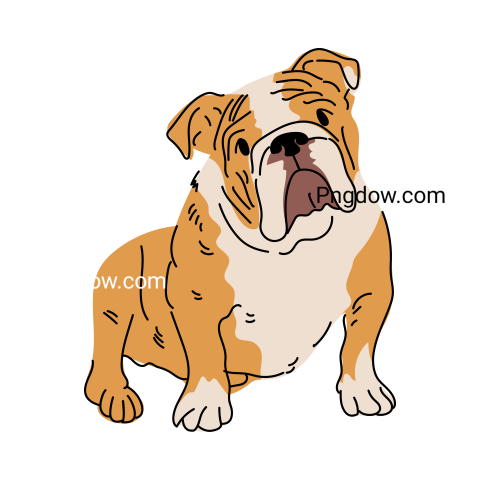 Bulldog Png image with transparent background for free, Bulldog, (97)