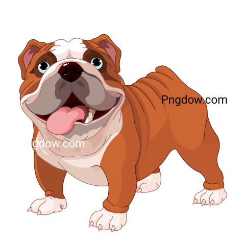 Bulldog Png image with transparent background for free, Bulldog, (109)