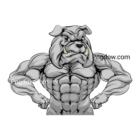 Bulldog Png image with transparent background for free, Bulldog, (98)