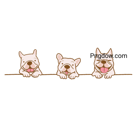 Bulldog Png image with transparent background for free, Bulldog, (82)