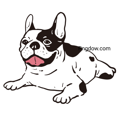 Bulldog Png image with transparent background for free, Bulldog, (80)