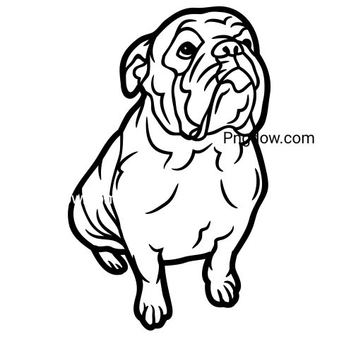 Bulldog Png image with transparent background for free, Bulldog, (69)