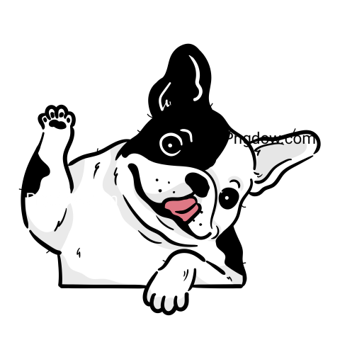 Bulldog Png image with transparent background for free, Bulldog, (63)