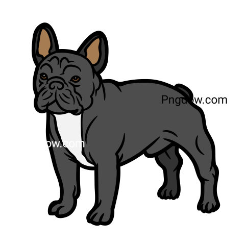 Bulldog Png image with transparent background for free, Bulldog, (44)