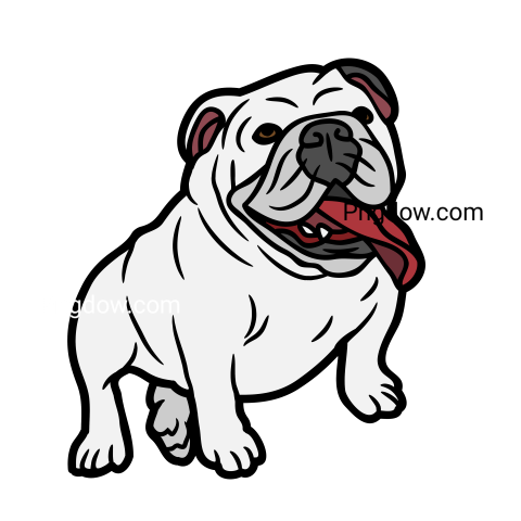 Bulldog Png image with transparent background for free, Bulldog, (70)