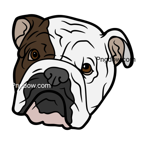 Bulldog Png image with transparent background for free, Bulldog, (43)