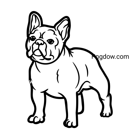 Bulldog Png image with transparent background for free, Bulldog, (58)