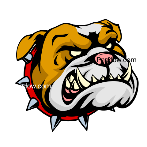 Bulldog Png image with transparent background for free, Bulldog, (59)