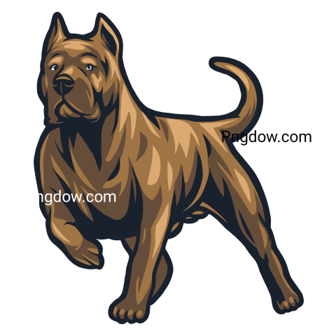 Bulldog Png image with transparent background for free, Bulldog, (56)