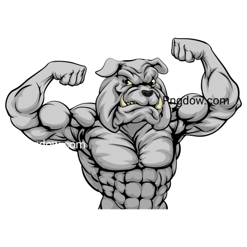 Bulldog Png image with transparent background for free, Bulldog, (21)