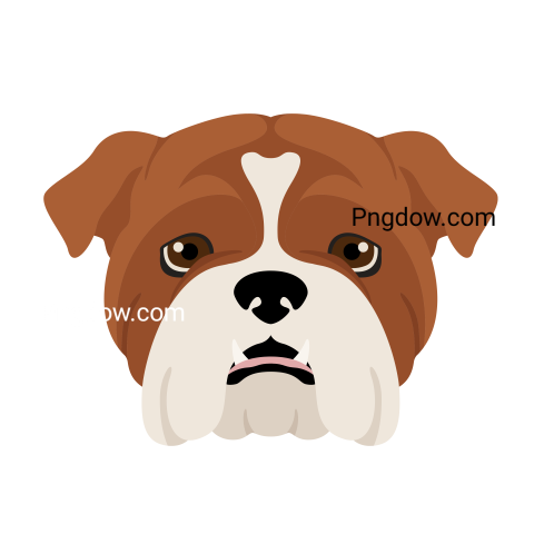 Bulldog Png image with transparent background for free, Bulldog, (23)