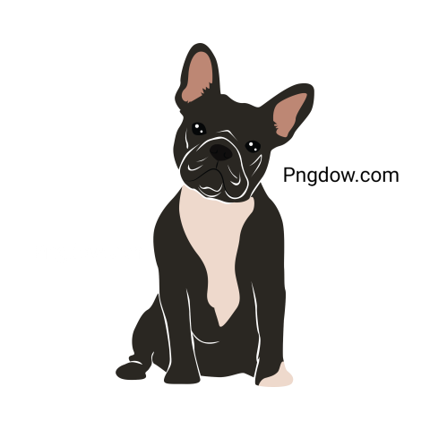 Bulldog Png image with transparent background for free, Bulldog, (32)