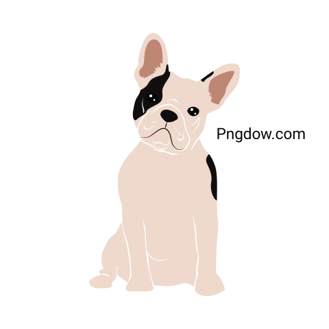 Bulldog Png image with transparent background for free, Bulldog, (36)