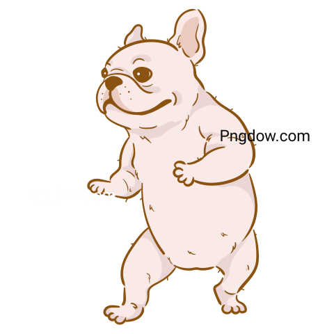 Bulldog Png image with transparent background for free, Bulldog, (30)