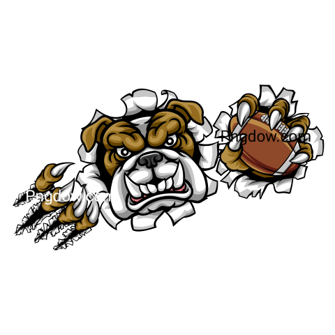 Bulldog Png image with transparent background for free, Bulldog, (37)