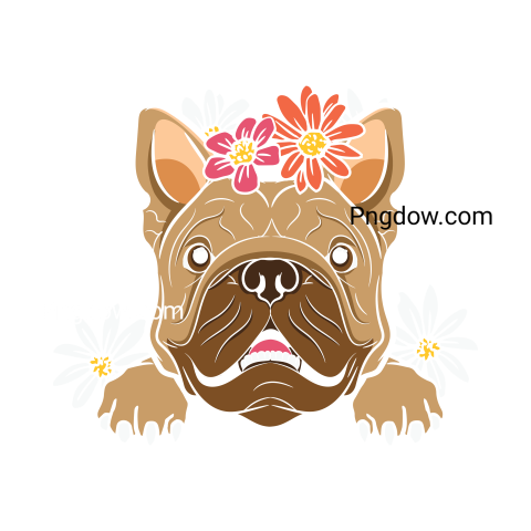 Bulldog Png image with transparent background for free, Bulldog, (38)