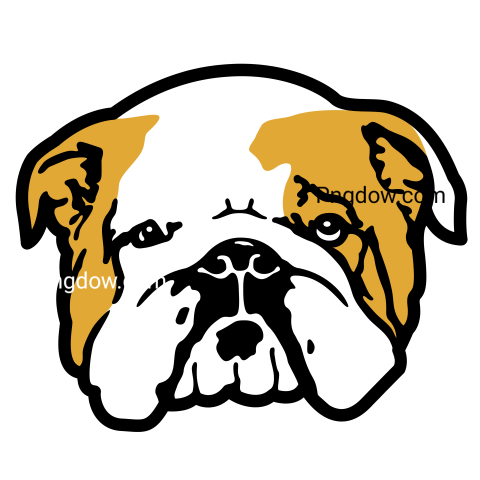 Bulldog Png image with transparent background for free, Bulldog, (6)