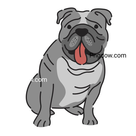 Bulldog Png image with transparent background for free, Bulldog, (15)