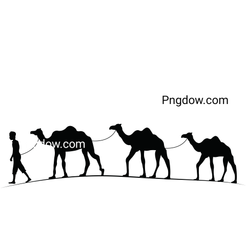 Camel Png image with transparent background for free, Camel, (23)