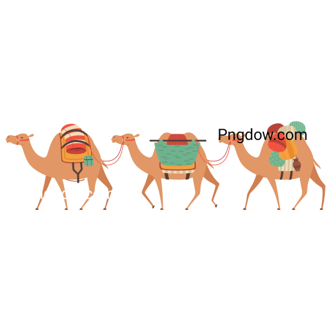Camel Png image with transparent background for free, Camel, (25)