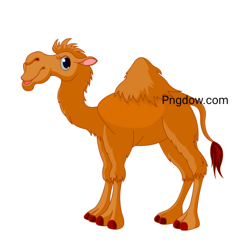 Camel Png image with transparent background for free, Camel, (20)