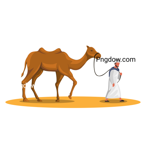 Camel Png image with transparent background for free, Camel, (21)