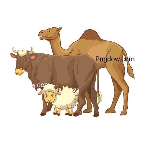 Camel Png image with transparent background for free, Camel, (26)