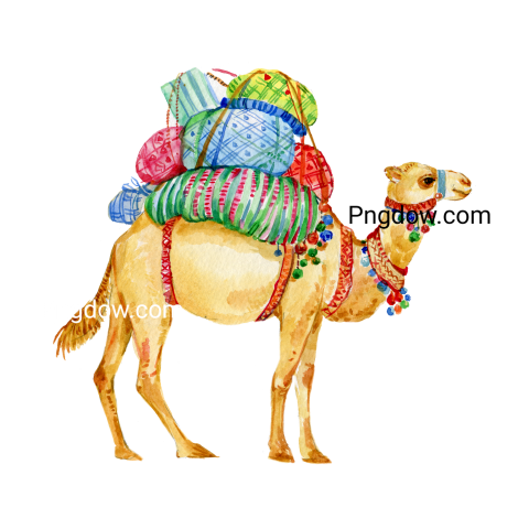 Camel Png image with transparent background for free, Camel, (5)