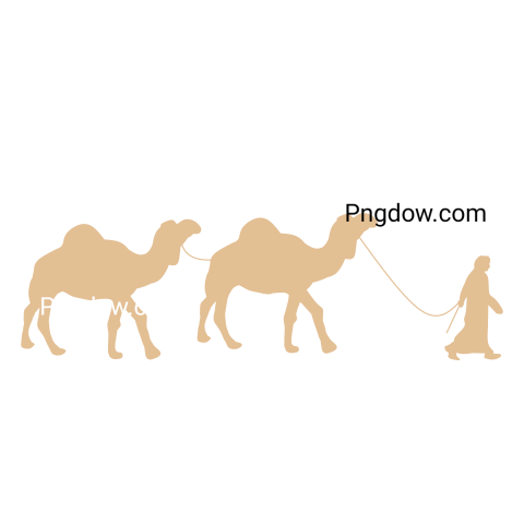 Camel Png image with transparent background for free, Camel, (12)