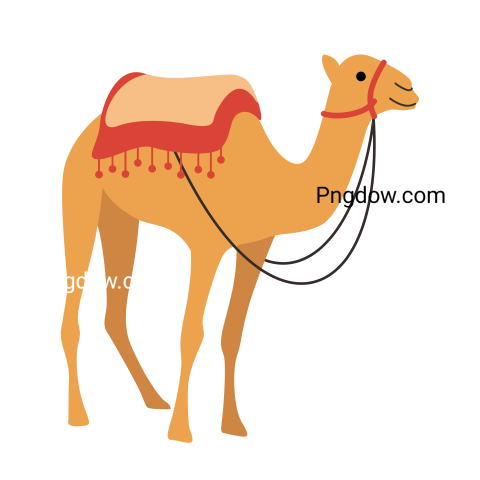 Camel Png image with transparent background for free, Camel, (13)